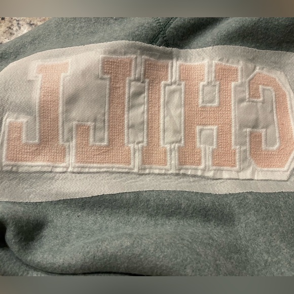 NWT Vintage Havanna CHILL Sweatshirt - L/14 / sage colors - Picture 12 of 12